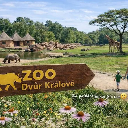 Glamping Jurty U Jezirka Mostek